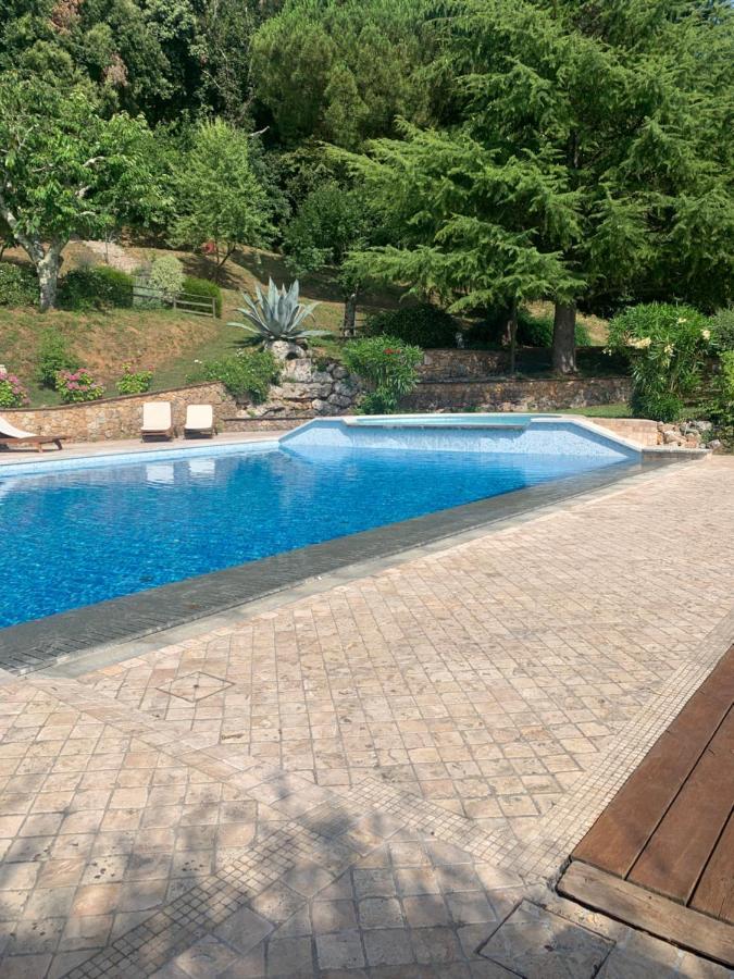 La Terrazza Sulla Versilia Pietrasanta Zewnętrze zdjęcie