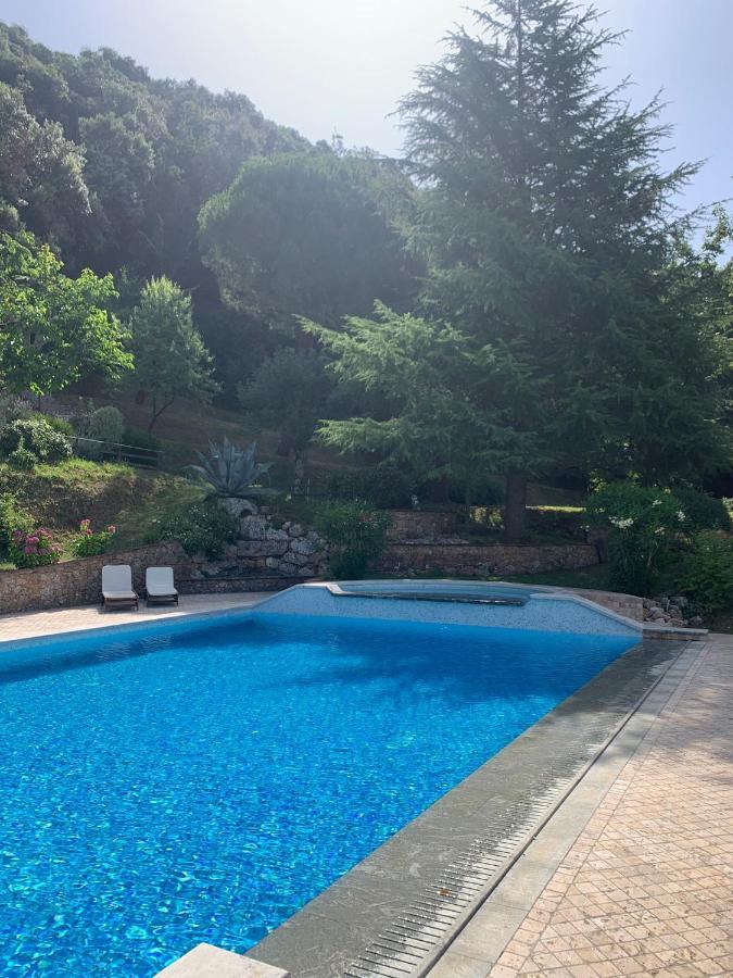 La Terrazza Sulla Versilia Pietrasanta Zewnętrze zdjęcie