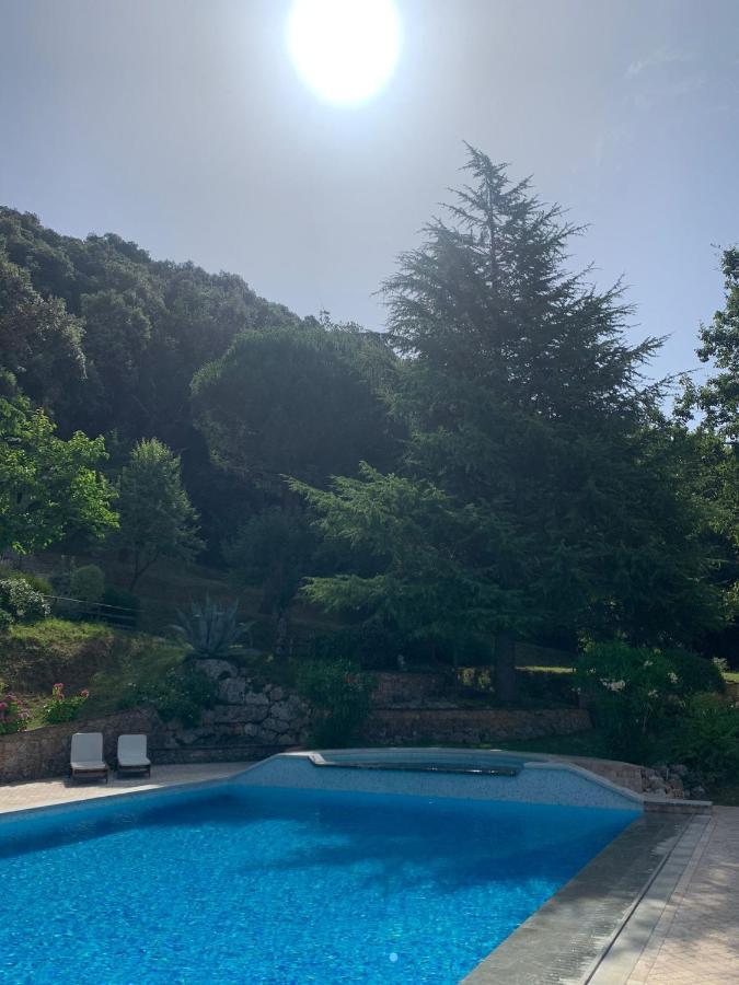 La Terrazza Sulla Versilia Pietrasanta Zewnętrze zdjęcie