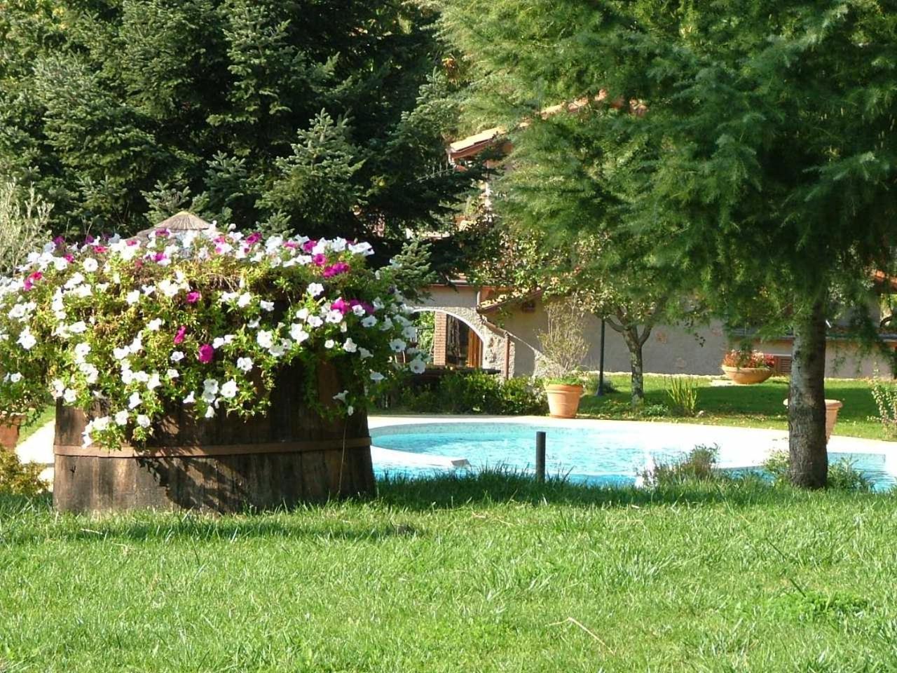 La Terrazza Sulla Versilia Pietrasanta Zewnętrze zdjęcie