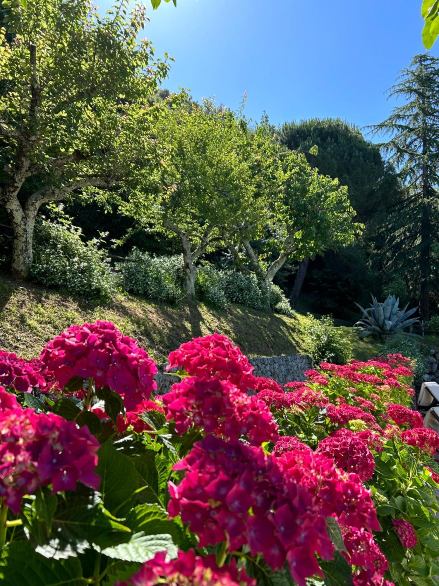 La Terrazza Sulla Versilia Pietrasanta Zewnętrze zdjęcie